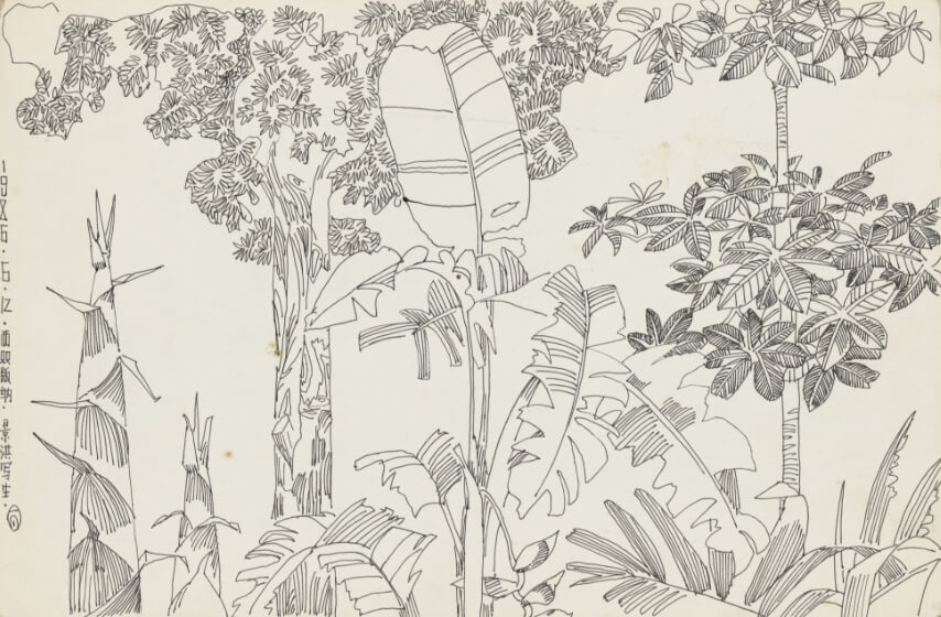 Sketching in Jinghong, Xishuangbanna