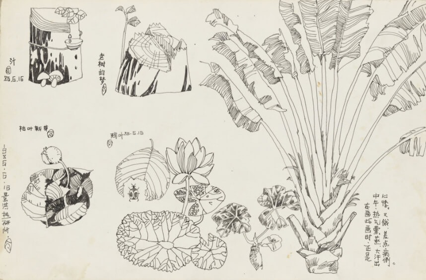 Jinghong Thermal Research Institute / Xishuangbanna sketching