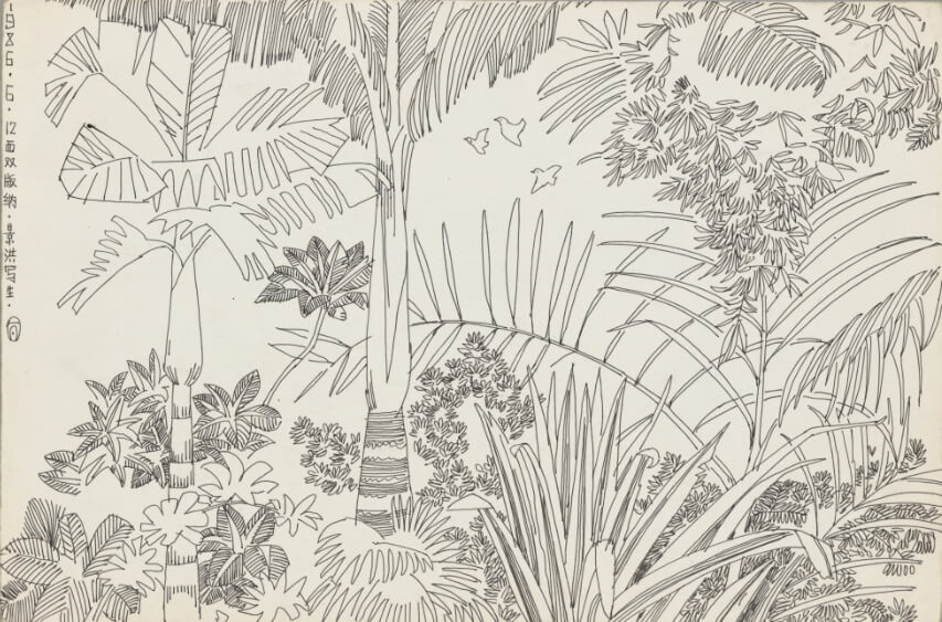 Sketching in Jinghong, Xishuangbanna