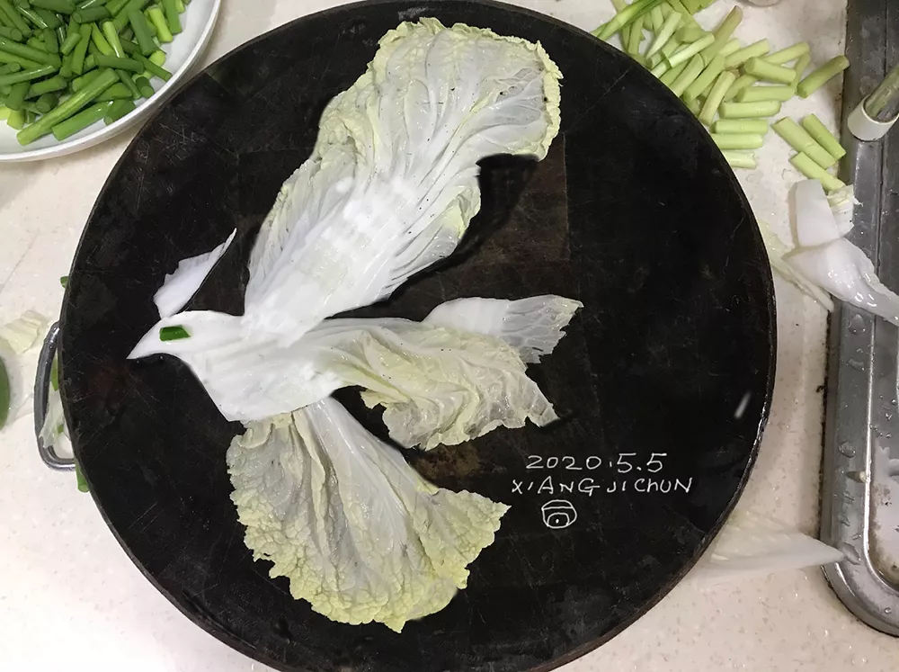 The flying white dove