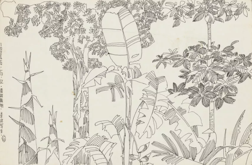 Sketching in Jinghong, Xishuangbanna