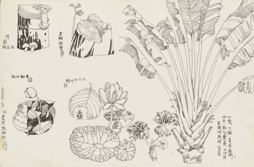 Jinghong Thermal Research Institute / Xishuangbanna sketching