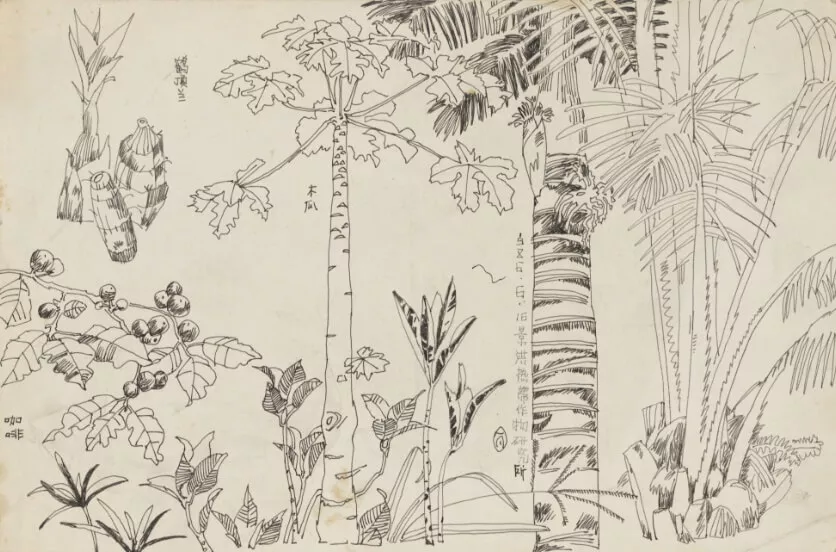 Jinghong Tropical Crops Research Institute / Xishuangbanna Sketching