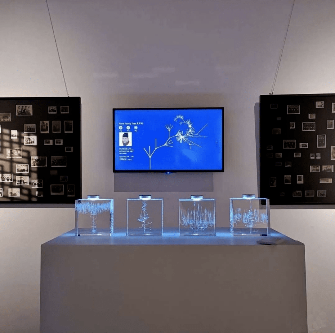 Family tree crystal objects and interactive display in an exhibition