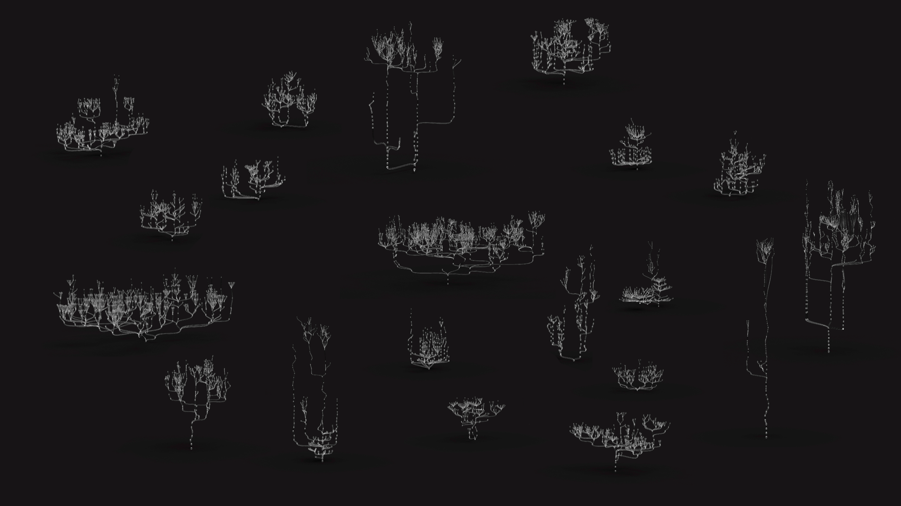Multiple historical family trees visualized as branching relationship systems