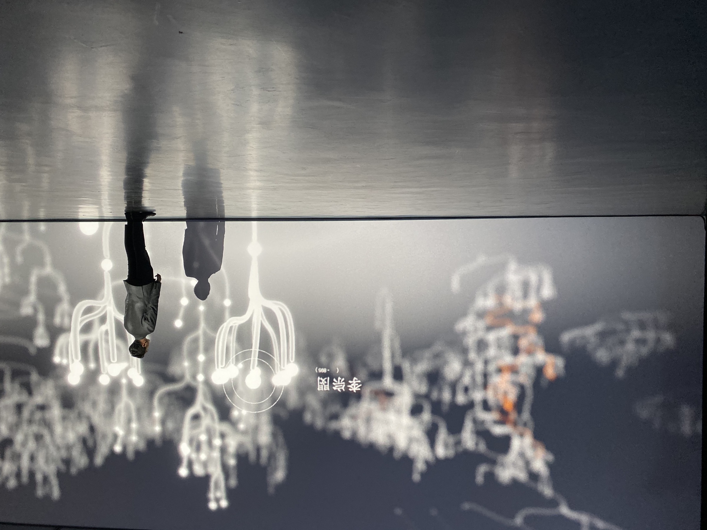 Visitor exploring the Enhanced Family Tree interactive installation