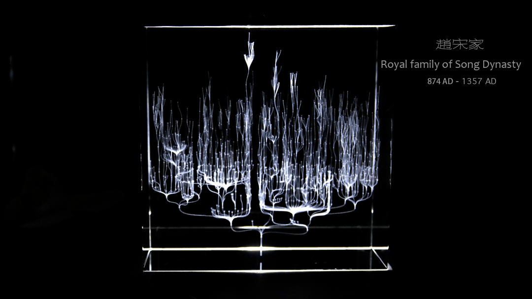 Song dynasty royal family tree presented in a crystal display
